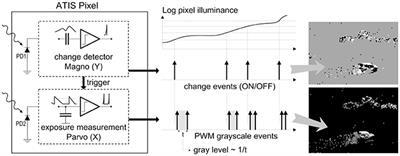 Complexity Analysis of Iterative Basis Transformations Applied to Event-Based Signals